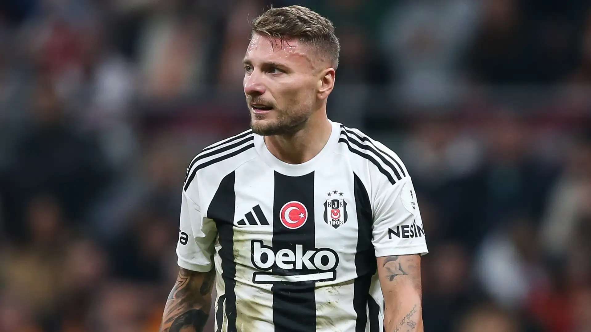 ciro-immobile