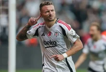 immobile