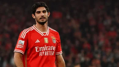 goncalo-guedes