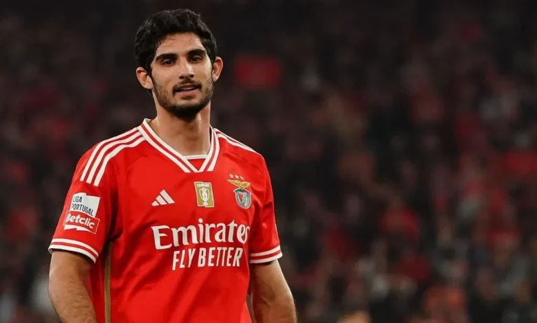 goncalo-guedes